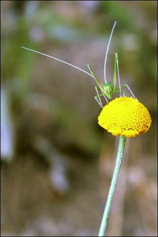 Appunti01.jpg