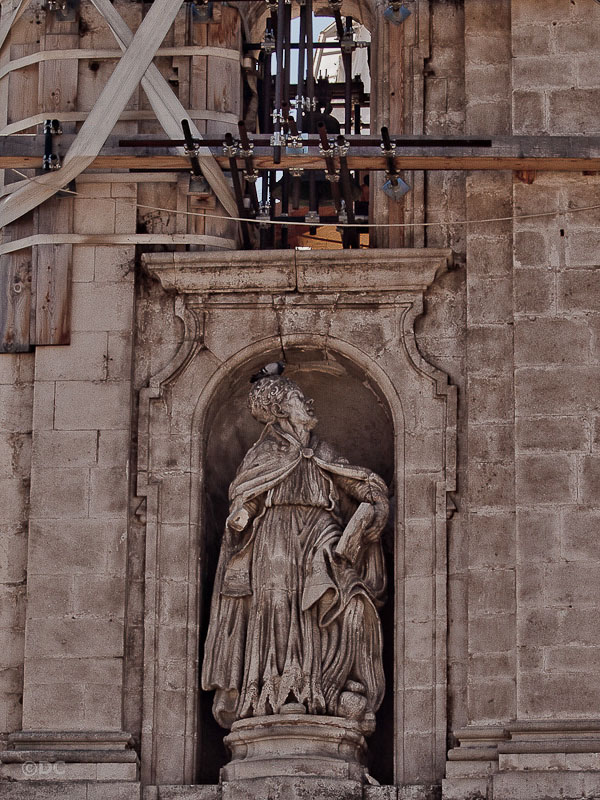 Aquila ferita_25.jpg