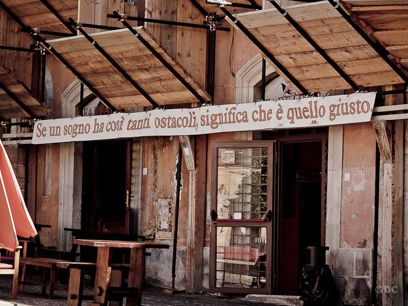 Aquila ferita_39.jpg