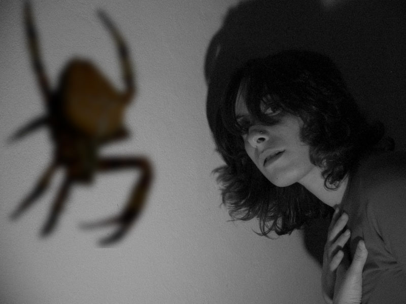 Aracnofobia_ok_90.jpg
