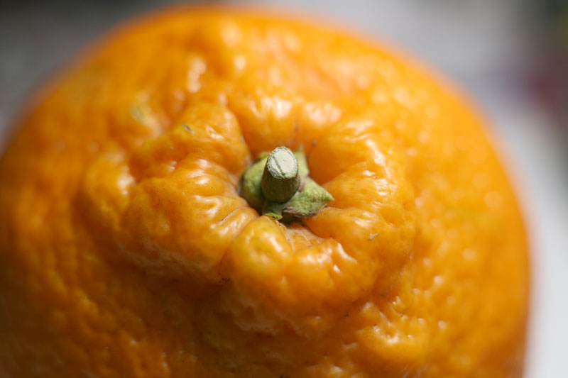 arancio.jpg