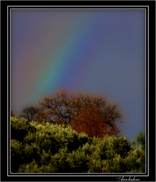arcobaleno.jpg