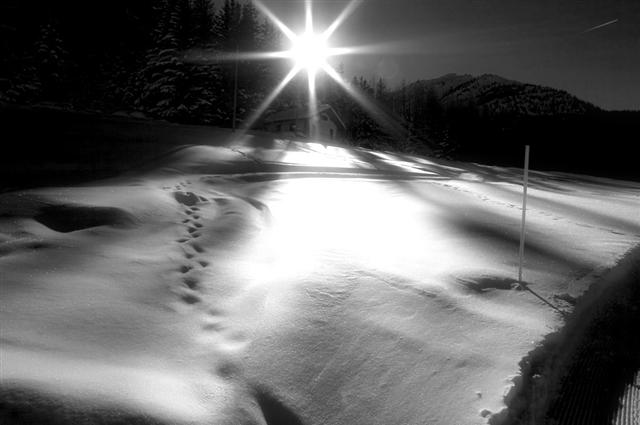 arpy20infrared (Small).jpg