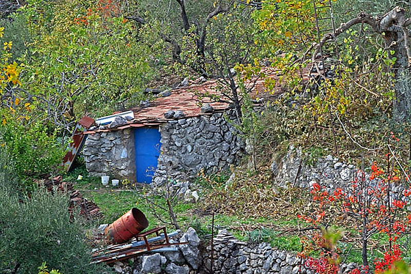 artemitico800x533ritweb.JPG