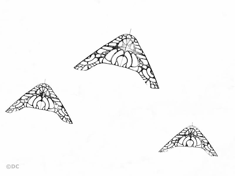 Artevento_bn_p4u_07.jpg