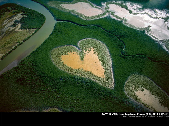 Arthus-Bertrand---Heart-in-voh-640.jpg