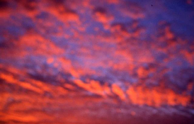 artwork_images_424734330_310886_nan-goldin.jpg