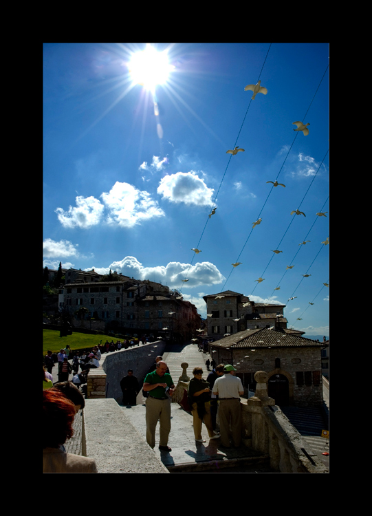 assisi-02.jpg