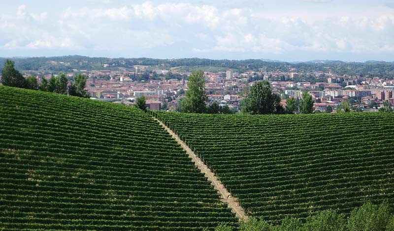 asti.jpg