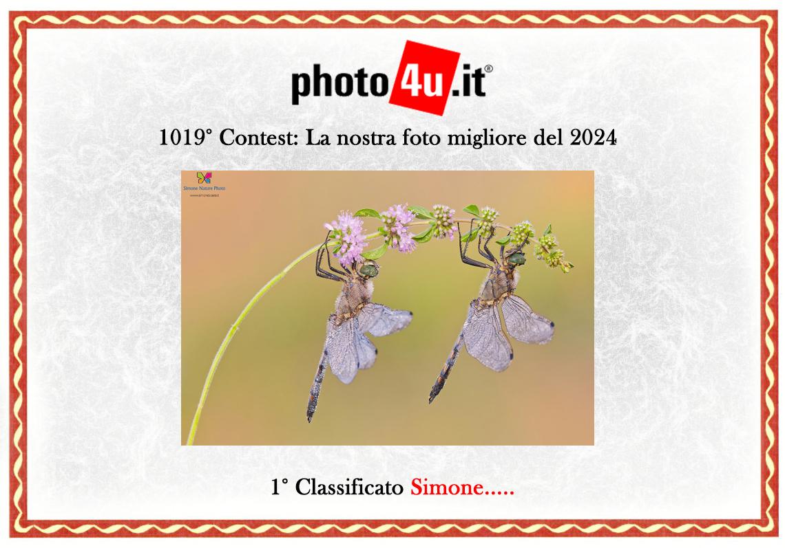 Attestato-P4U-Simone.....jpg