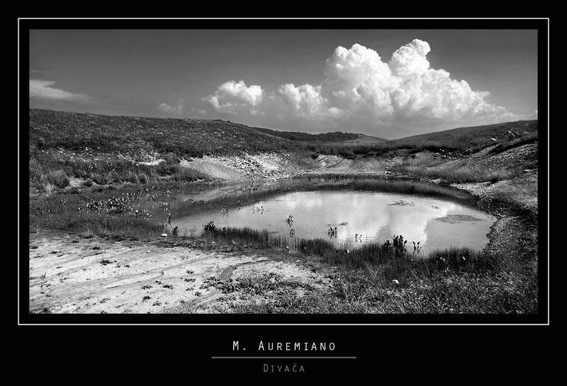 Auremiano_bw1.jpg