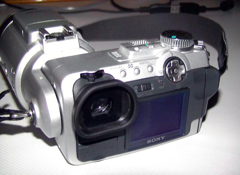 AUT_0119.JPG