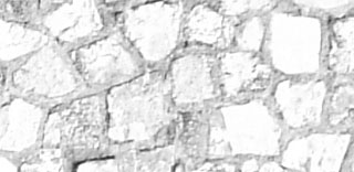 auto b&w crop.jpg