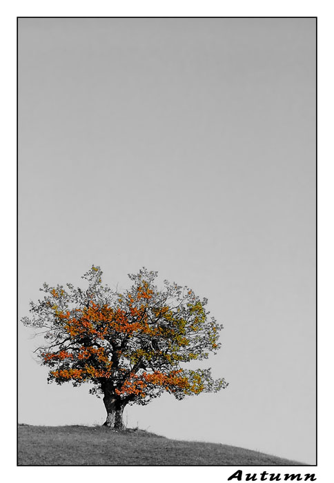 Autumn.jpg