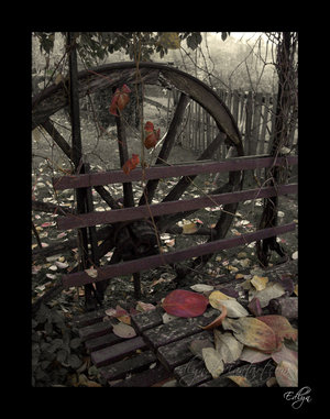 Autumn_by_edlyn.jpg