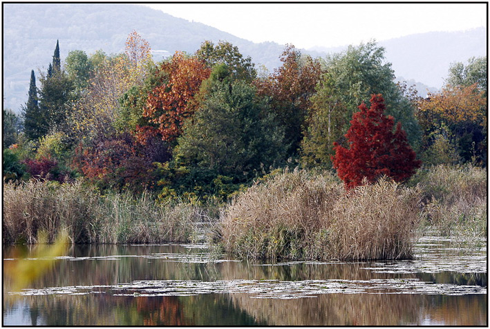 autunno-00.jpg