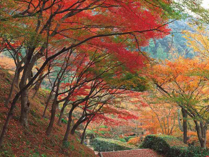 AUTUNNO-11.jpg