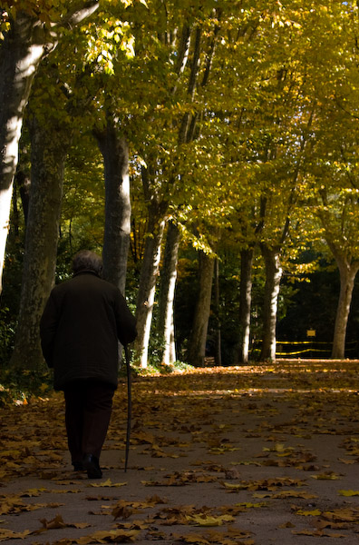 autunno-2.jpg
