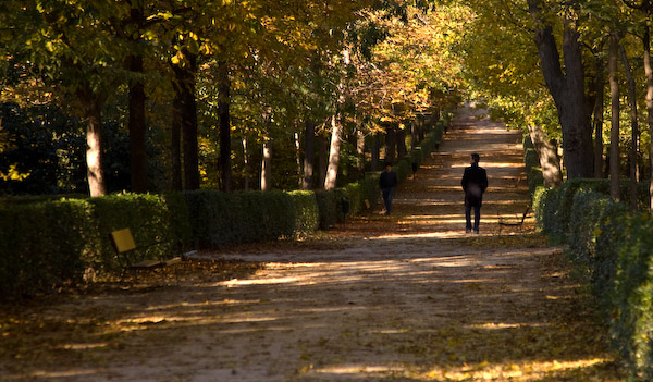 autunno-3.jpg