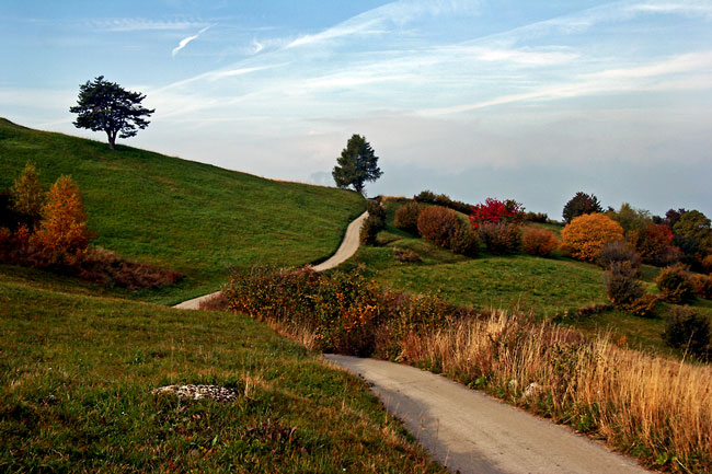 autunno-3.jpg