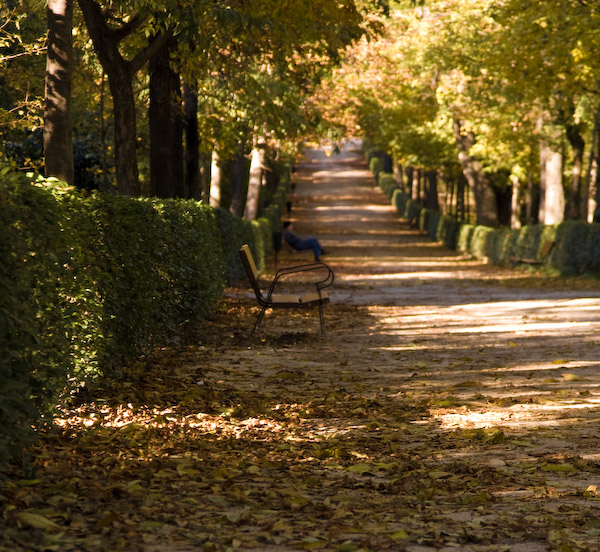 autunno-4.jpg