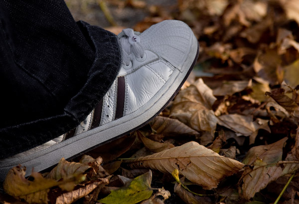 autunno-6.jpg