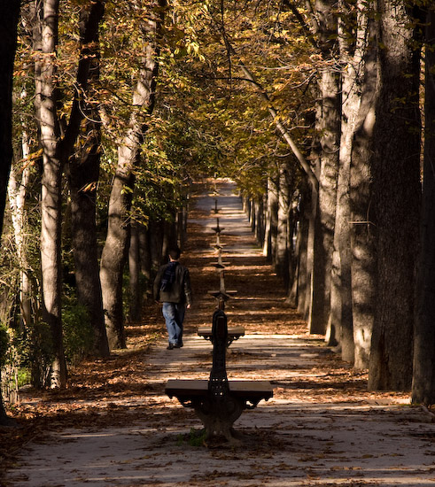 autunno-9.jpg