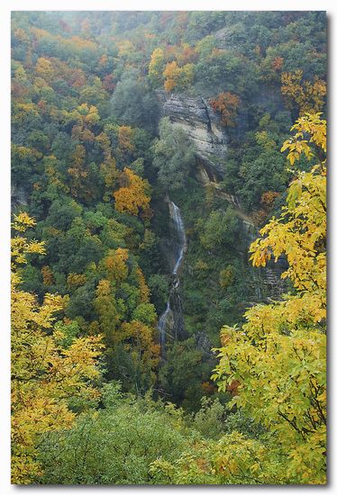 autunno-.jpg