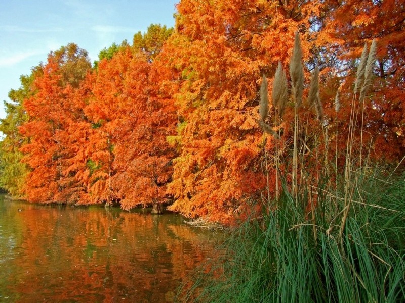 autunno14.jpg