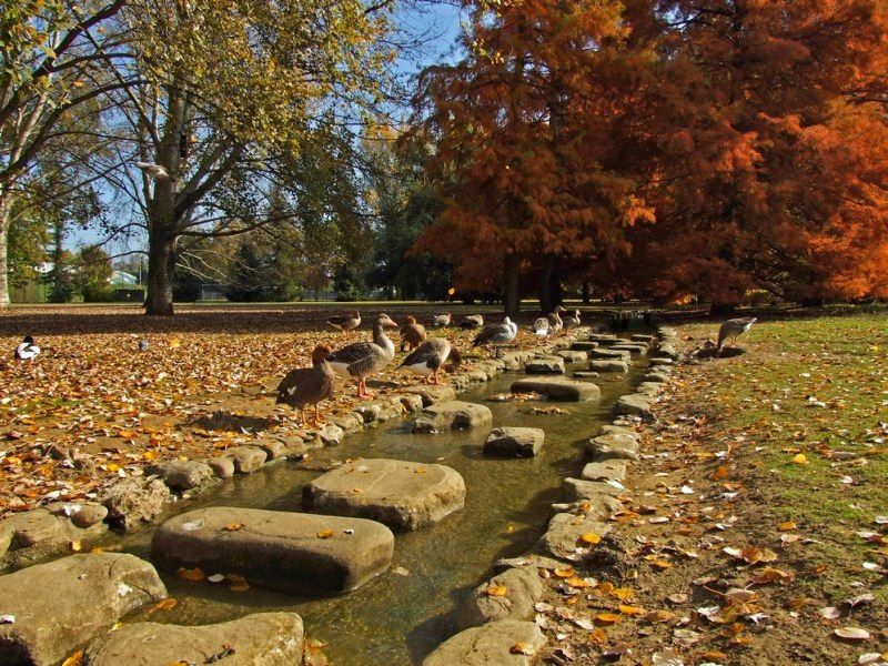 autunno15.jpg