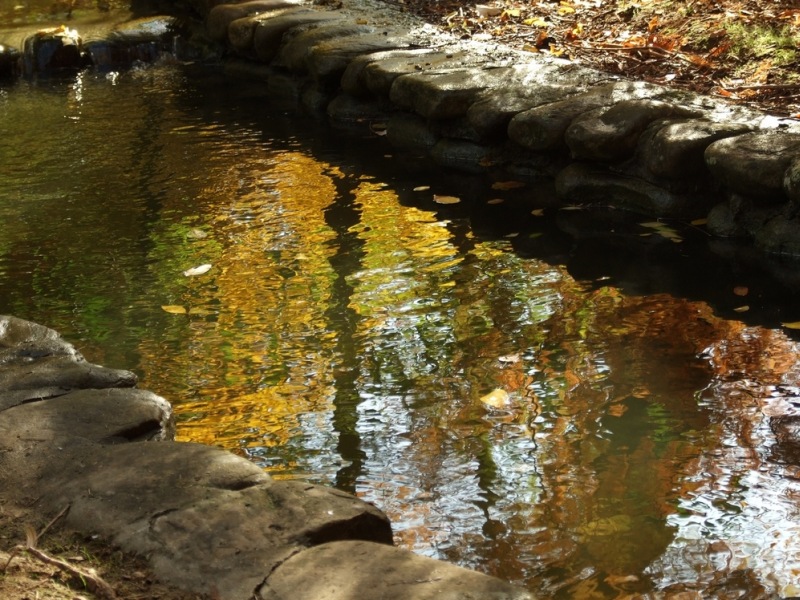 autunno16.jpg
