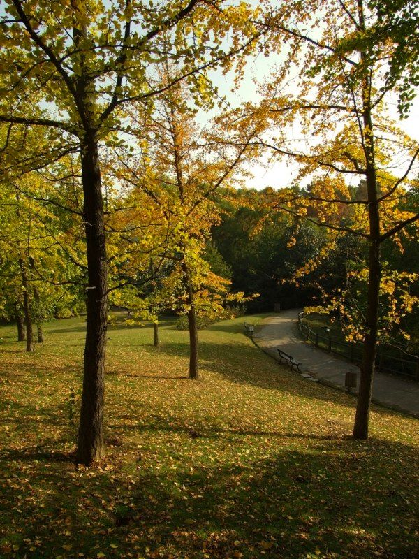 autunno17.jpg