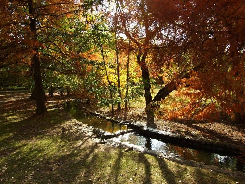 autunno1.jpg