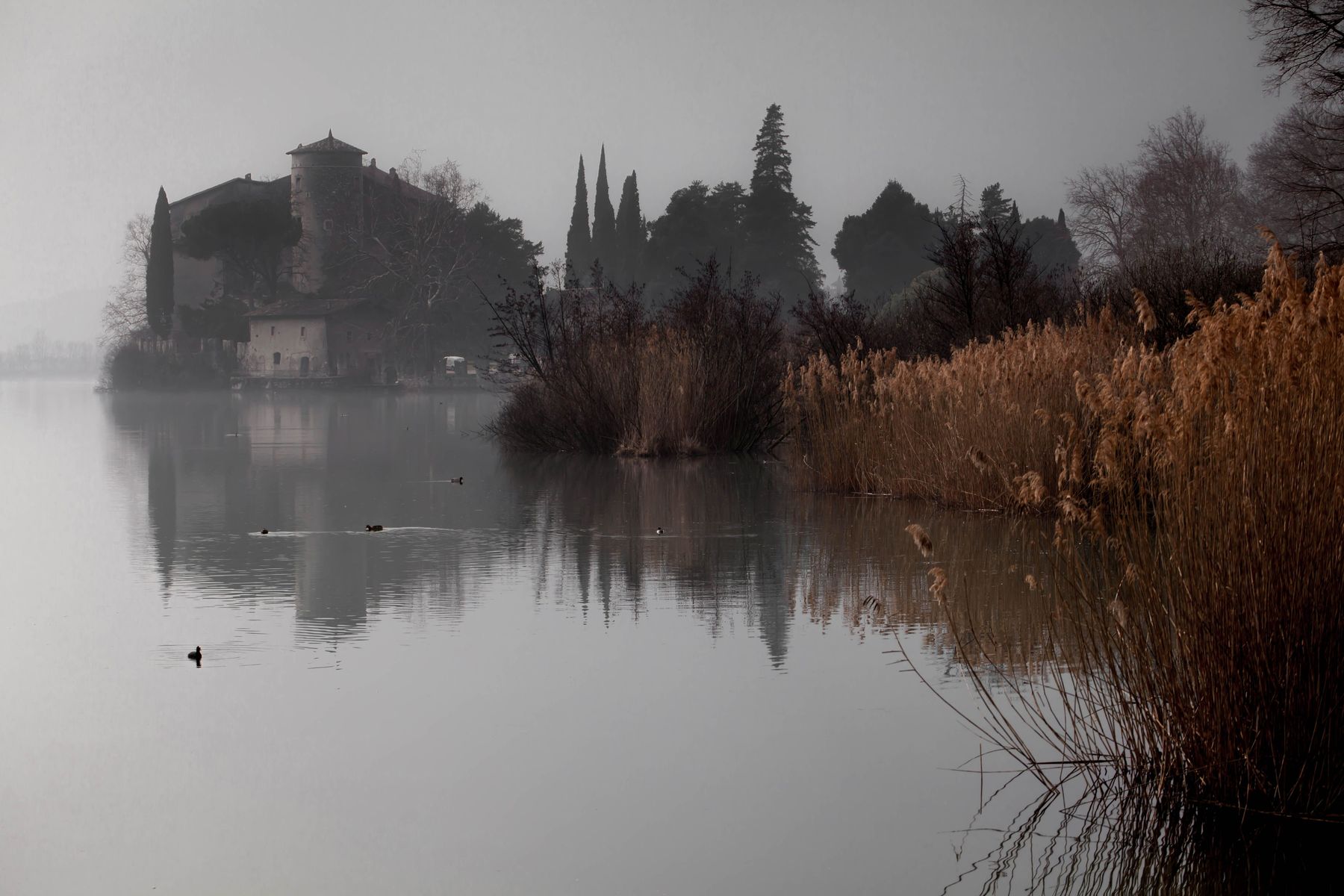 autunno1.jpg