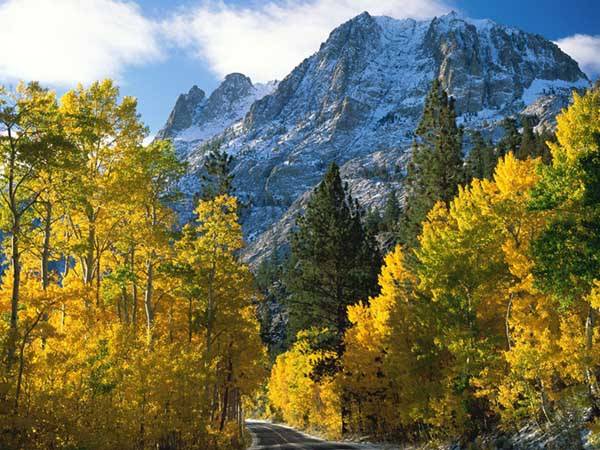 AUTUNNO1.jpg