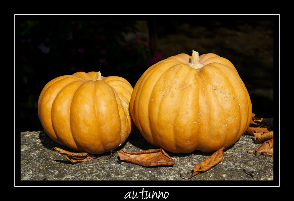 autunno2.jpg