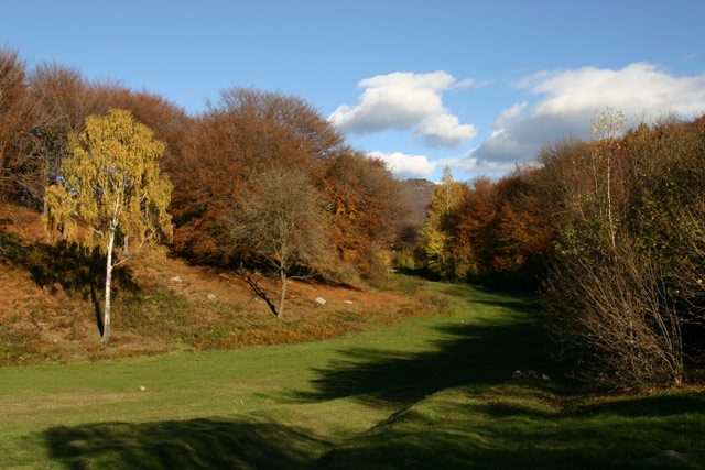 autunno2.jpg
