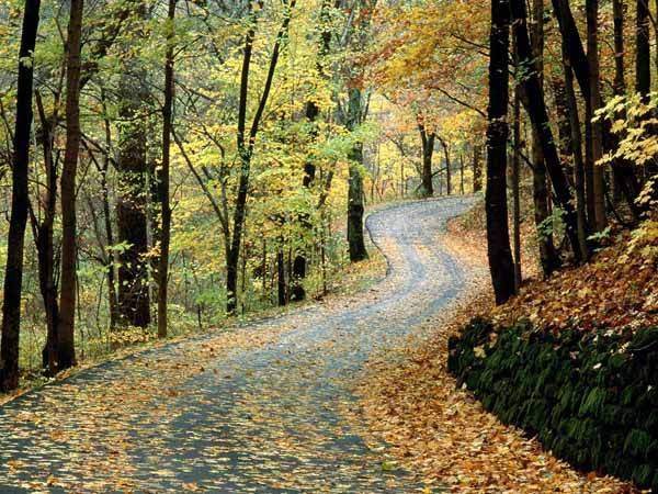 autunno2.jpg