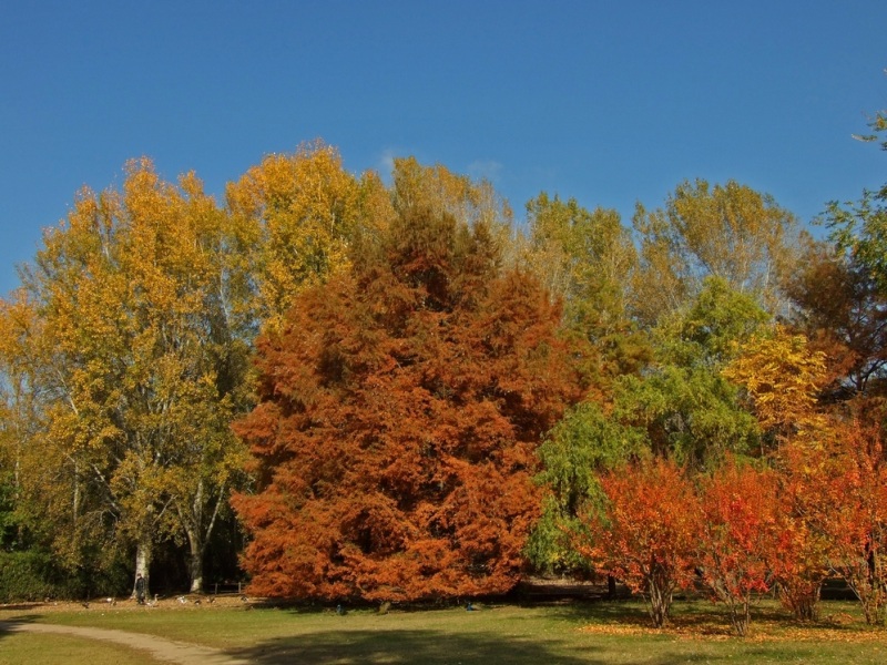autunno9.jpg