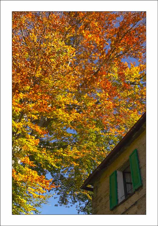 autunno_02.jpg