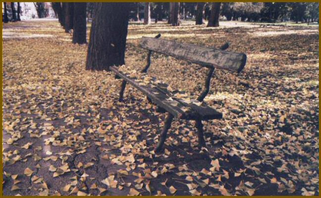 autunno.jpg