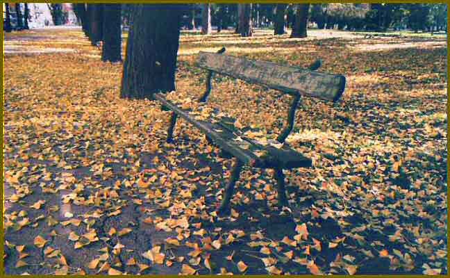 autunno_111.jpg