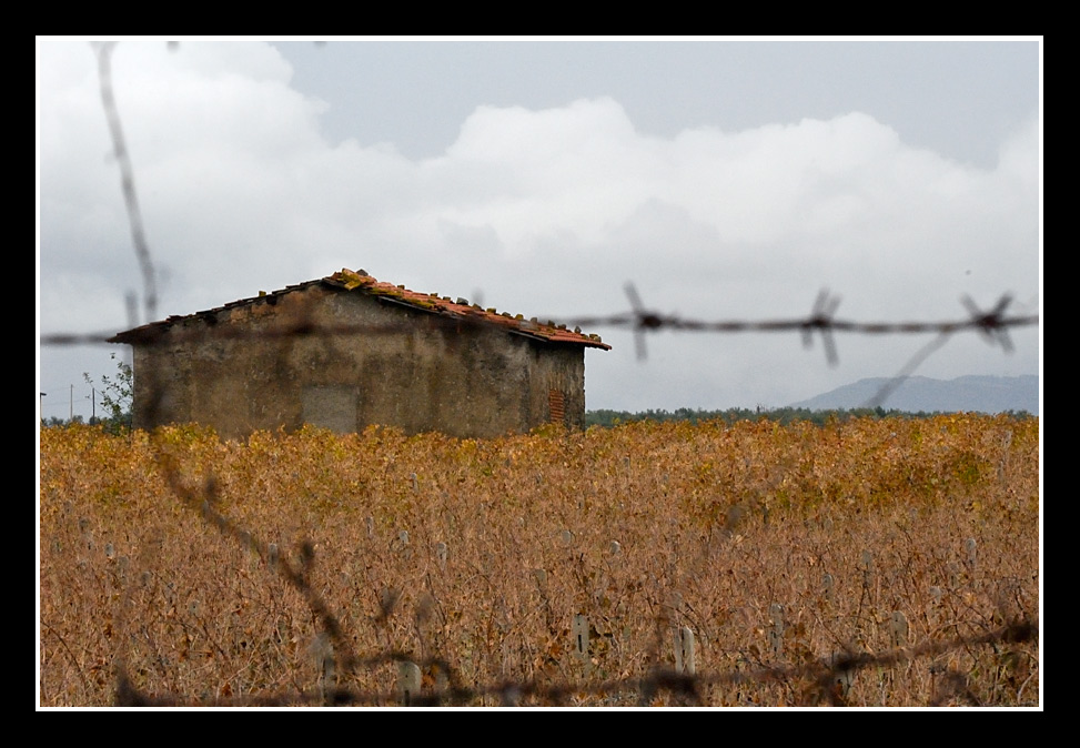 autunno.jpg