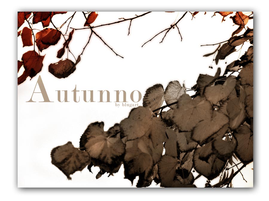 Autunno_3b.jpg
