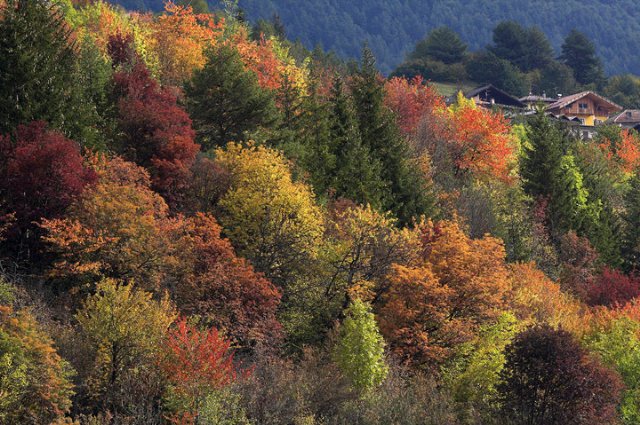 autunno_640x425.jpg