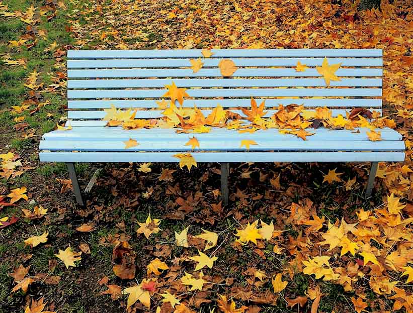 autunno.jpg