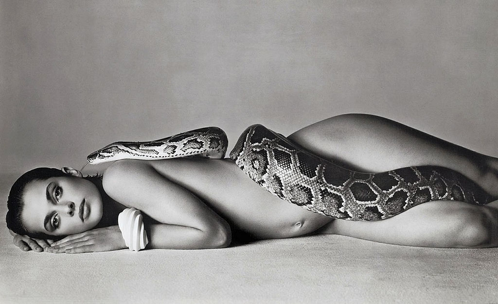 avedon rid.jpg