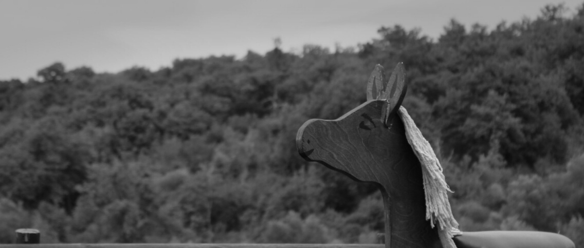 aviary-image-1454114032378.jpeg