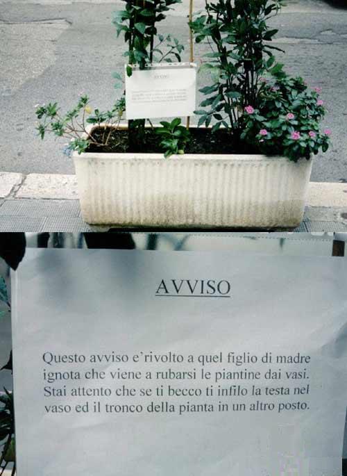 AVVISO BOTANICO.jpg