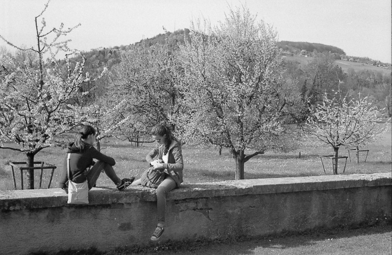 b-n-scan007.jpg
